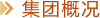 集團(tuán)概況